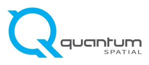 Logo s_Quantum cm_RGB sz_600x264 d_20130909